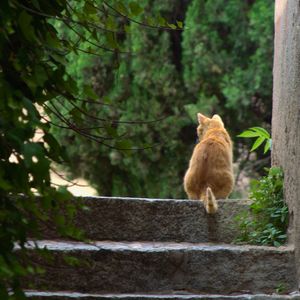 喜欢你_yu.mp3（翻自 黑精灵）