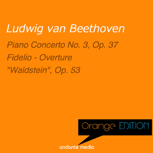 Piano Concerto No. 3 in C Minor, Op. 37: II. Largo