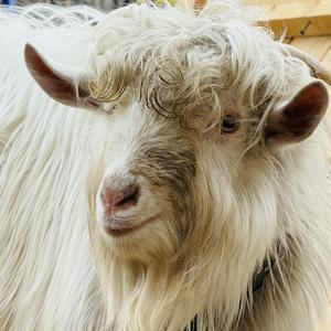 人生路漫漫（cover白小白）