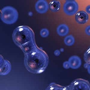 在小溪旁沐浴阳光