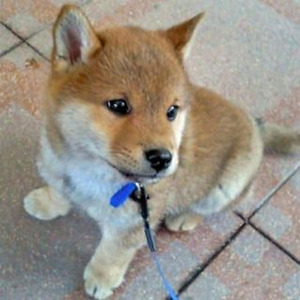 he's mine you may of had him once (sped up)