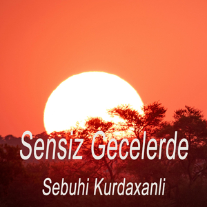 Sensiz Gecelerde