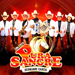 CHARANGUITAS (En vivo)