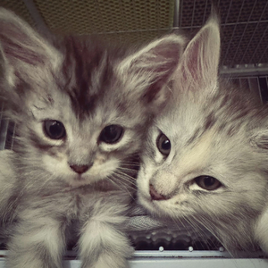 你的离开，才是今年第一场冷空气