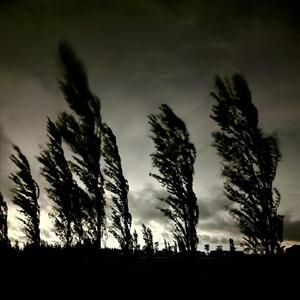 Lunas