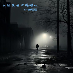 只因我没把握时机