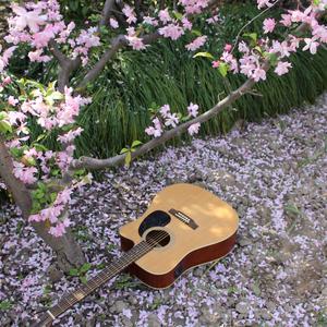 dear night rainbow吉他弹唱《少年犯插曲》（翻自 髙見優）