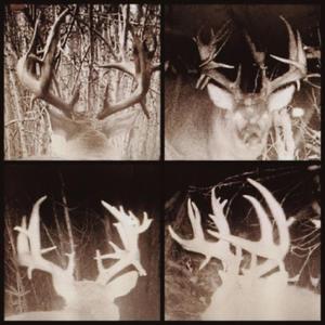 tiktok (antler remix)