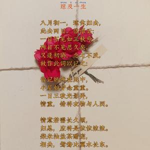 蜉蝣-我最爱的她