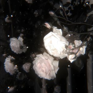 Plug (Session)