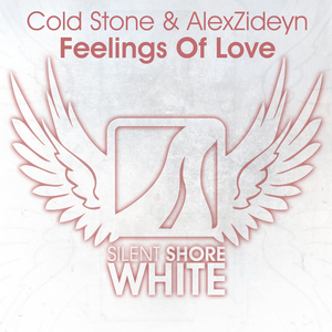 Feelings Of Love (Original Mix)
