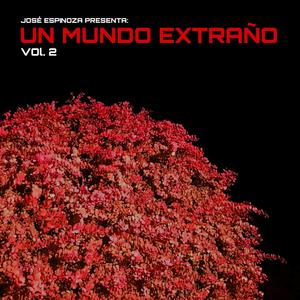 En Mi Cuarto / Cuando Nadie Me Habla