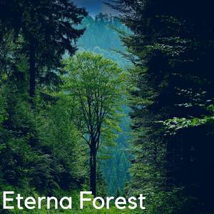 Eterna Forest (From Pokémon Diamond and Pokémon Pearl)