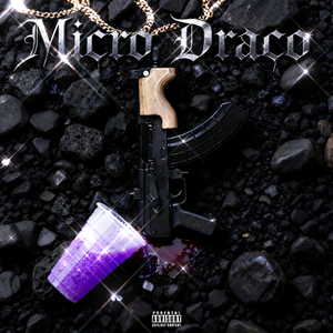 Micro Draco
