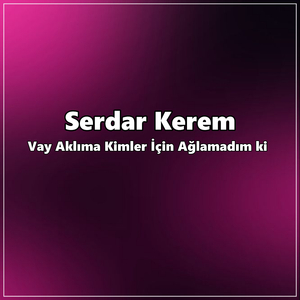 Vay Aklıma Kimler için Ağlamadım ki