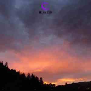 寒木春华 (竖琴曲)