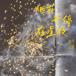 烟花升停在星夜