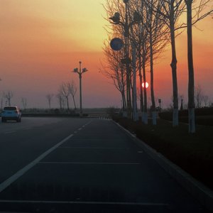 LOVE Theme from TIGA指弹