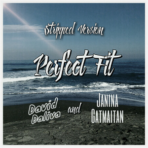 Perfect Fit (Stripped Version)