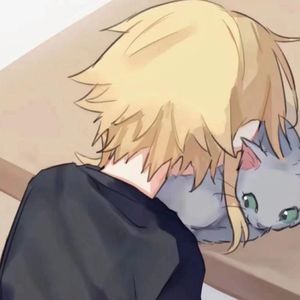 我看了56次日落