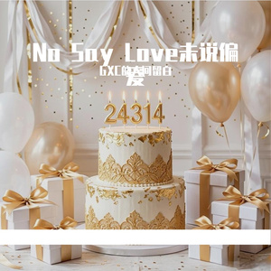 No Say Love未说偏爱
