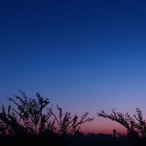 听到我的声音了吗