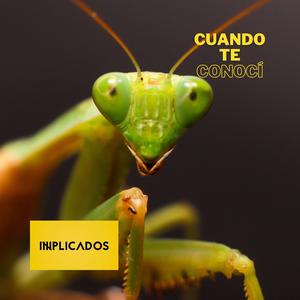 Cuando te Conocí