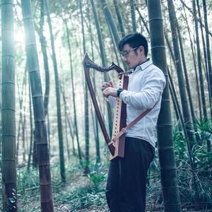 【魔兽世界】酒馆小调「狮王之傲」-竖琴+哨笛+木长笛+吉他+非洲鼓+曼陀铃