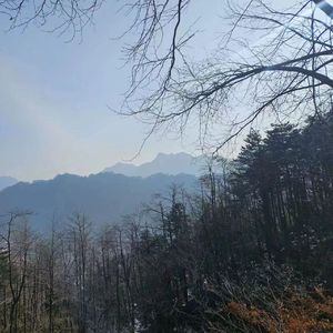 并肩走(1)