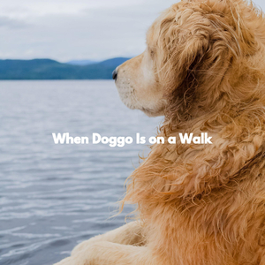 Joyful Limitless Creativities