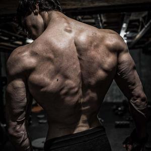 Nevada (David Laid) (Slowed + Reverb)