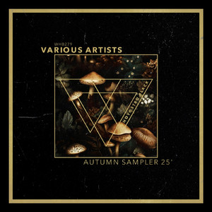 Out Of Sight (Original Mix)