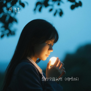 是你没选我啊（破碎男声版）