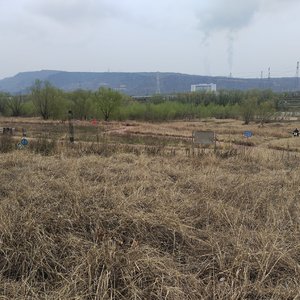 Gentle Silence  温柔的沉默