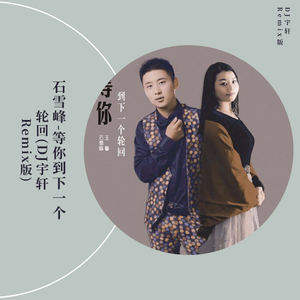 王馨-等你到下一个轮回(DJ宇轩Remix版)（DJ宇轩Remix remix）
