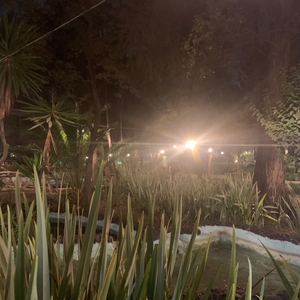 The Green Manalishi (With the Two Prong Crown)