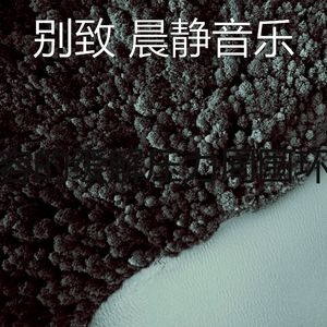 一尘不染放松的印象数