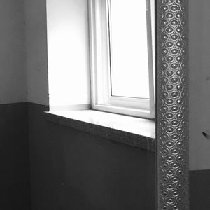 逆光的候鸟迁徙