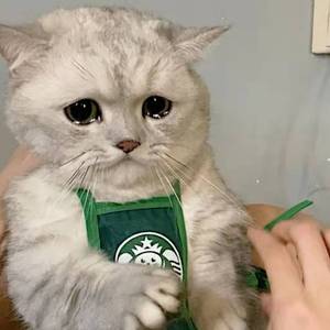 墨尔本的秋天王优秀