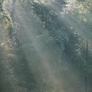 这一生关于你的风景
