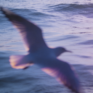 离开对你的依赖