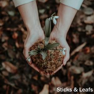 Steady Forest Footsteps