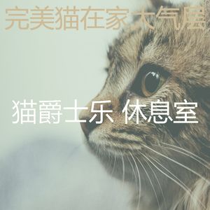 优美小猫器乐