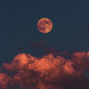 Nightmares And Dreams (feat. Michele Wylen & Cody Wilkinson)