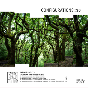 Beginning the Process