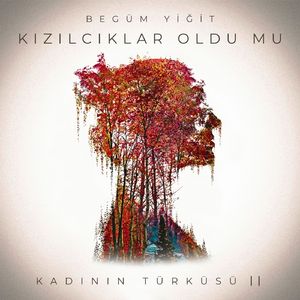 Kızılcıklar Oldu mu (Kadının Türküsü II)