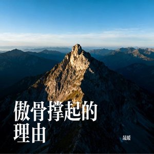 傲骨撑起的理由