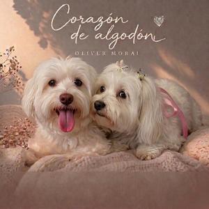Corazón De Algodón