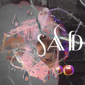 不过是欲哭无泪（Prod By RoyalBoi）