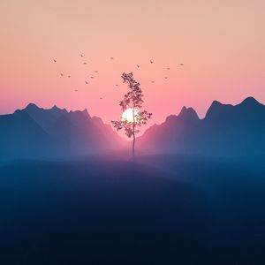 【Free】Pop Guitar Type Beat "Setting Sun"